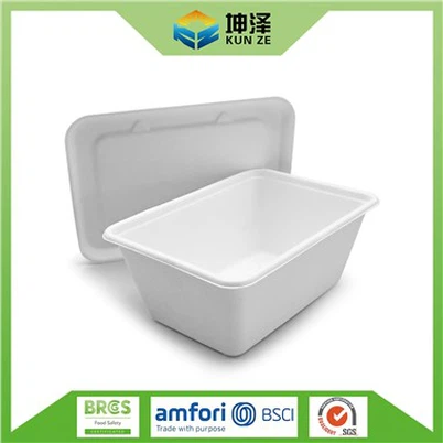 Tek Kullanımlık Öğle Yemeği Kutusu Kabı