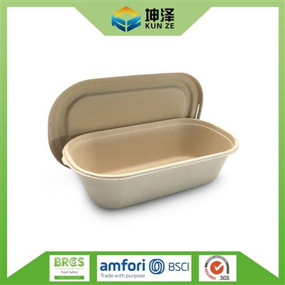 Çevre Dostu Salata Kutusu