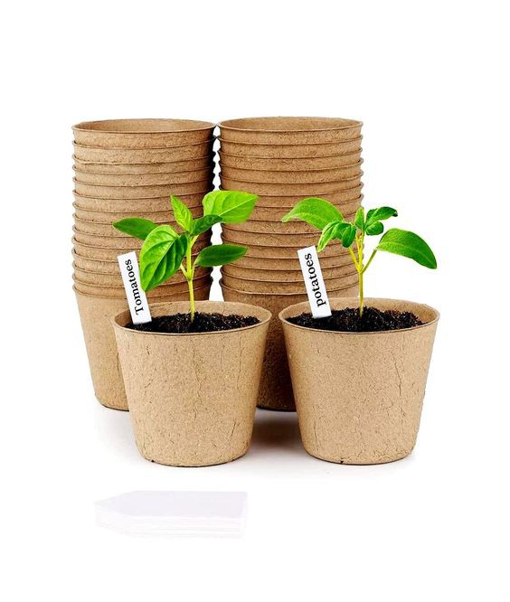 Biodegradable Nursery Pots 05 Biodegradable Nursery Pots 05
